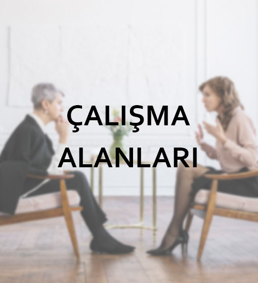 Çalışma Alanları